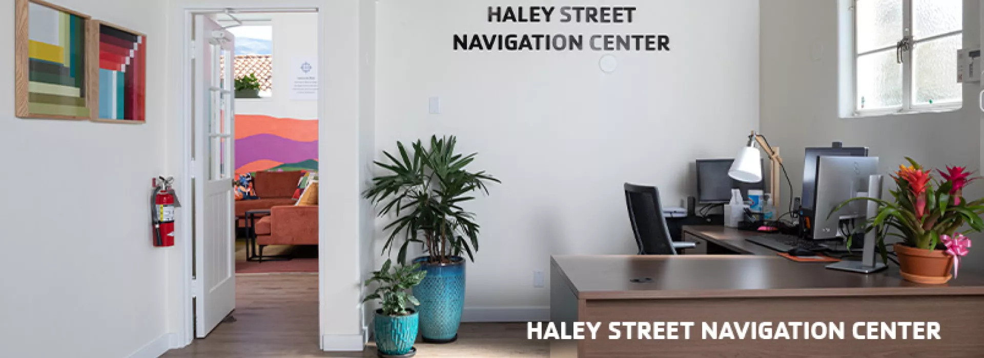 Haley Street