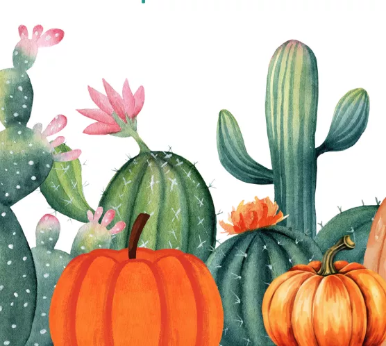 succulents