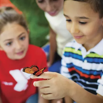 Outdoor Preschool